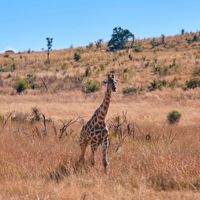 Egzotinės kelionės